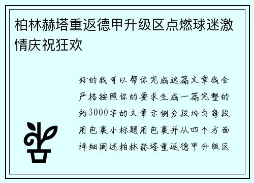 柏林赫塔重返德甲升级区点燃球迷激情庆祝狂欢